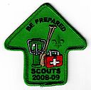 2008_Scouts.jpg