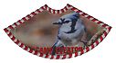 Filename=Everton_1524_Camp_Everton.JPG
Filesize=31KiB
Dimensions=565x311
Date added=%059 %18, %2017 Everton_1524_Camp_Everton.JPG