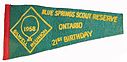 GR_Blue_Springs_1958_pennant.JPG