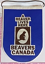 A_Beaver_Lives_Here.jpg