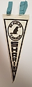 Beavers_Pennant.jpg