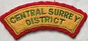 Filename=Central_Surry_District_felt.jpg
Filesize=44KiB
Dimensions=394x182
Date added=%512 %07, %2019 Central_Surry_District_felt.jpg