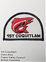 Filename=Coquitlam_01st_facing_right.jpg
Filesize=115KiB
Dimensions=513x687
Date added=%717 %06, %2024 Coquitlam_01st_facing_right.jpg