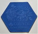 Council-Chinook_blue_ghost.jpg
