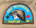 Filename=Falconridge_LDS_01st.jpg
Filesize=477KiB
Dimensions=1313x999
Date added=%687 %29, %2020 Falconridge_LDS_01st.jpg