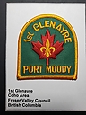 Filename=Glenayre_01st_30_degrees.jpg
Filesize=2437KiB
Dimensions=1536x2048
Date added=%700 %04, %2020 Glenayre_01st_30_degrees.jpg
