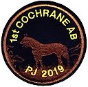 Filename=Grp_1st_Cochrane_AB_b_full_colour.jpg
Filesize=196KiB
Dimensions=648x640
Date added=%544 %13, %2019 Grp_1st_Cochrane_AB_b_full_colour.jpg
