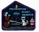 Haliburton_2021_purple.jpg