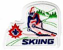 Irreg_Skiing_a.jpg