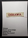Filename=Oshawa_generic.jpg
Filesize=302KiB
Dimensions=908x1210
Date added=%297 %12, %2021 Oshawa_generic.jpg