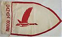 Pennant_Canada_Goose_Patrol.jpg