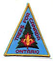 Filename=ST1973a_Trees_Ontario.jpg
Filesize=51KiB
Dimensions=525x606
Date added=%769 %27, %2016 ST1973a_Trees_Ontario.jpg