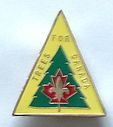 ST1979_Pin.jpg