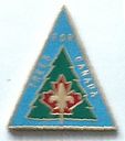 ST1980_Pin.jpg