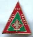 ST1981_Pin.jpg