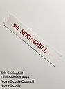 Filename=Springhill_09th.jpg
Filesize=126KiB
Dimensions=614x829
Date added=%850 %26, %2021 Springhill_09th.jpg