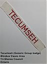 Filename=Tecumseh_generic_strip.jpg
Filesize=89KiB
Dimensions=557x751
Date added=%227 %27, %2024 Tecumseh_generic_strip.jpg
