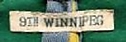 Filename=Winnipeg_009th_green.jpg
Filesize=16KiB
Dimensions=297x99
Date added=%464 %11, %2023 Winnipeg_009th_green.jpg