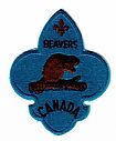 Filename=fdl_Beavers_a.jpg
Filesize=71KiB
Dimensions=700x849
Date added=%639 %06, %2020 fdl_Beavers_a.jpg