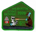 haliburton_2020_green.jpg